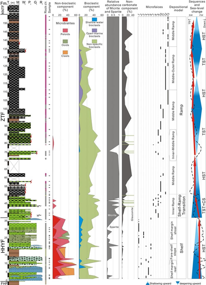 ʾ����ˮ�������������С���ʯ��ֱ仯��΢��ֲ�����Լ���ƽ��仯����