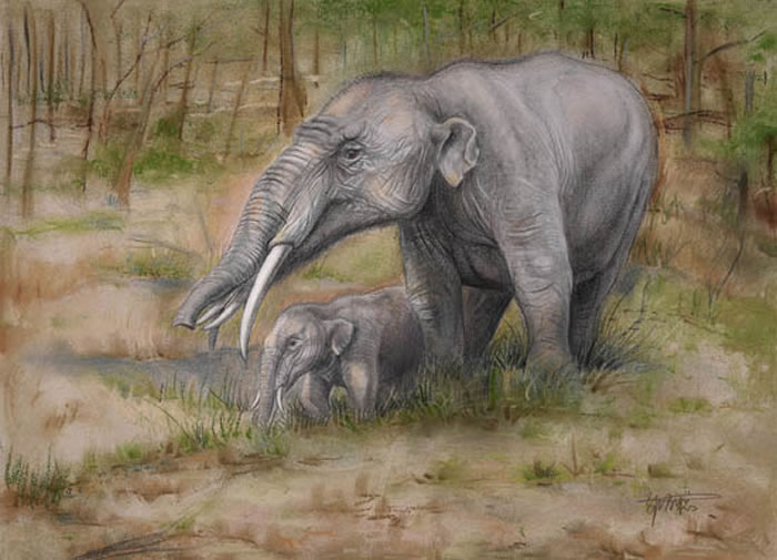 塔氏嵌齿象生态复原(郭肖聪绘)