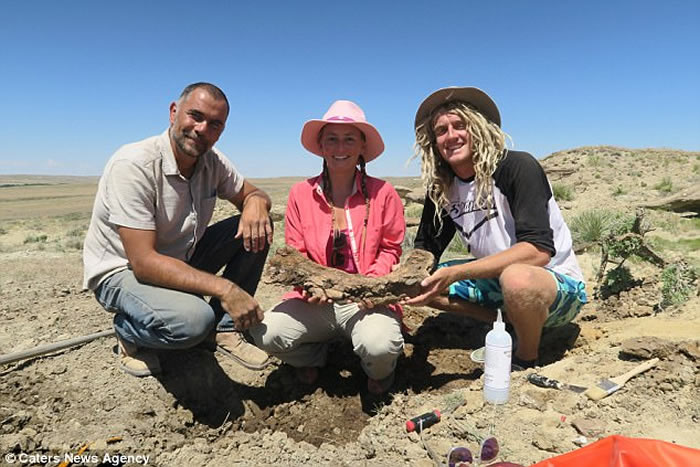 美国生态环境保护者在怀俄明州勘察被绊倒 意外发现极其罕见的三角龙颌骨化石