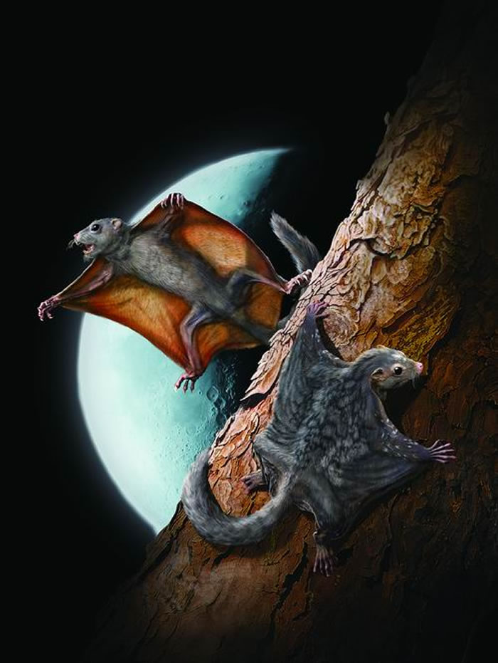 ˫������޸�ԭͼ �Դ���