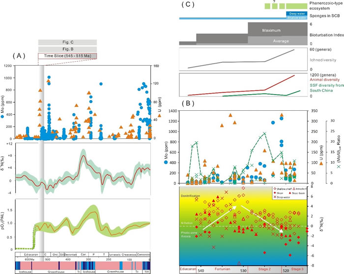 �������������ڡ�����������������������������������ԵĹ�ϵ