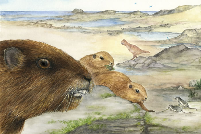 ����ʦ����ѧ����Զ�Ŷ��о��������鶯��������������û�й�ϵ