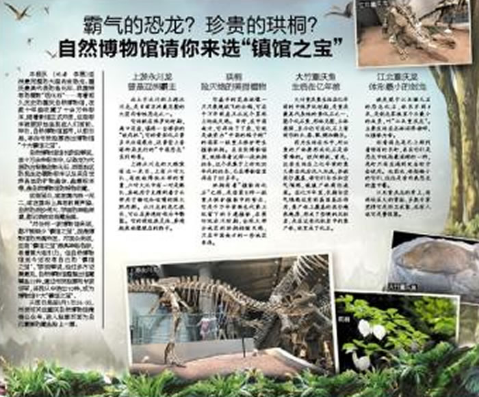 霸气的恐龙?珍贵的珙桐?重庆自然博物馆请你来选“镇馆之宝”