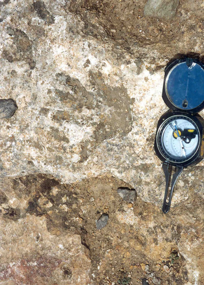 �µ���ڵ���ƿ��ĵ���������ӡ��Ƭ