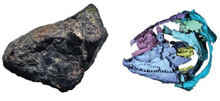 ������������ͷ�ǵ����屣�漰CTʶ��ͼ�����Թ�ͼ��