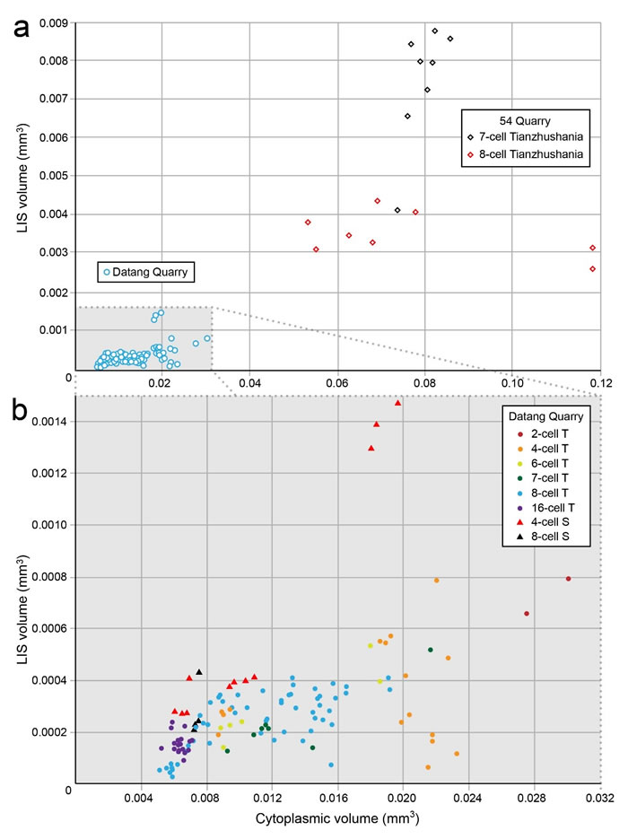 ϸ����������ϸ��֮��������ϵͳ��
