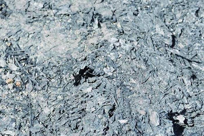 ɹŹúзֵġݡľֲﻯʯΪֲоƪ