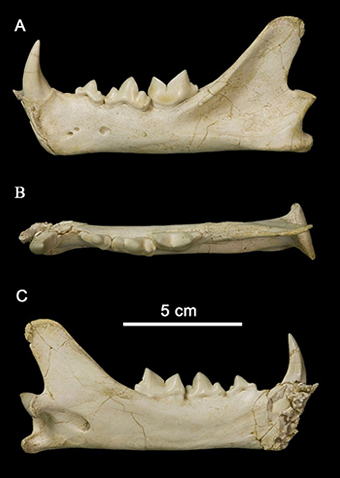 �����������ʯ�ڵص㸱���ݻ���򢻯ʯ�����깩ͼ��