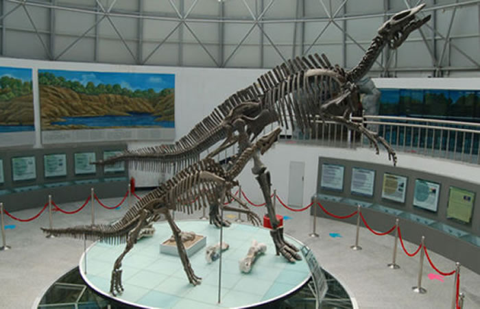 �������ɽ���ҵ��ʹ�԰�ڵĿ�����ʯ