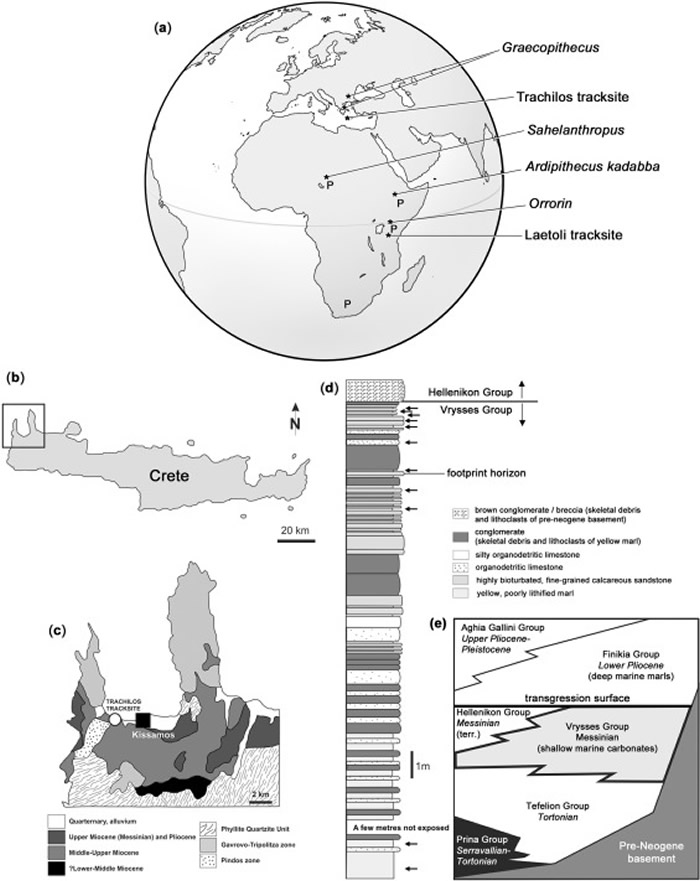 ϣ�������ص�����570����ǰ��ԭʼ�����ӡ��ʯ �����������Ⱥ�����ѡ��߳����ޡ���