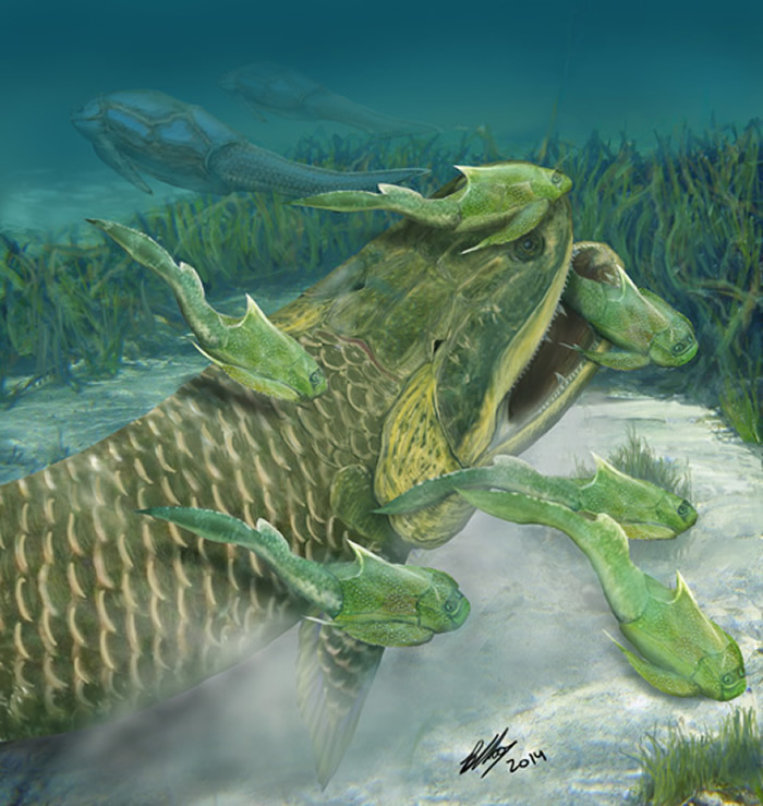 ������̬��ԭͼ��������͹ź�������������ͽ�������飨Brian Choo�棩