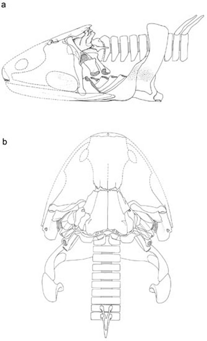 ���������ԭͼ��������ͼ��