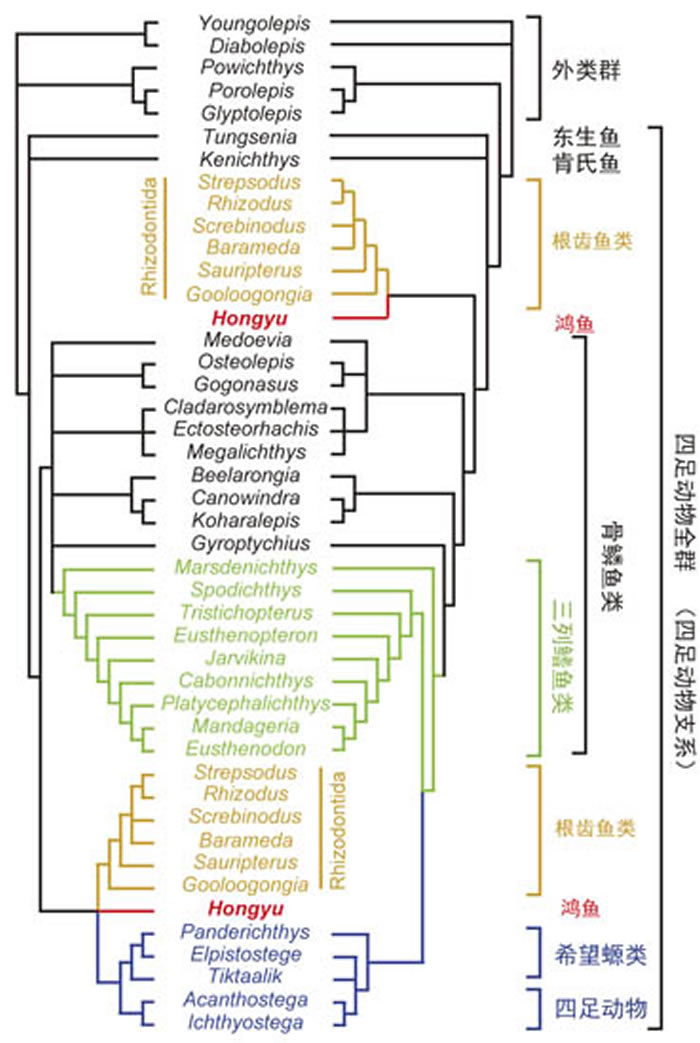 �������λ�ã�������ͼ��