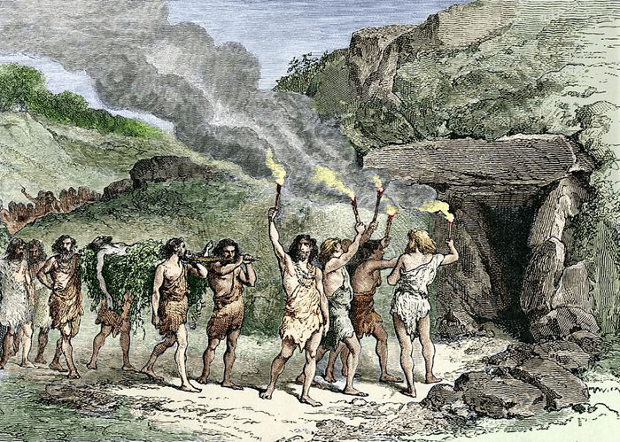 �����ݻ��������������ѣ���һ�������ԵĲ���