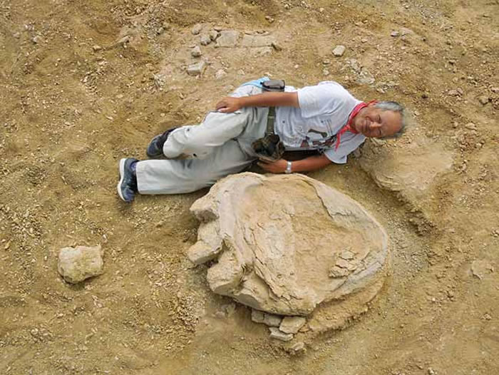 �ɹŹ����ɳĮ����3������1�׵ľ��Ϳ����㼣��ʯ �Ʋ�����峤����30��