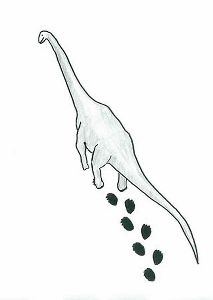 �ɹŹ����ɳĮ����3������1�׵ľ��Ϳ����㼣��ʯ �Ʋ�����峤����30��