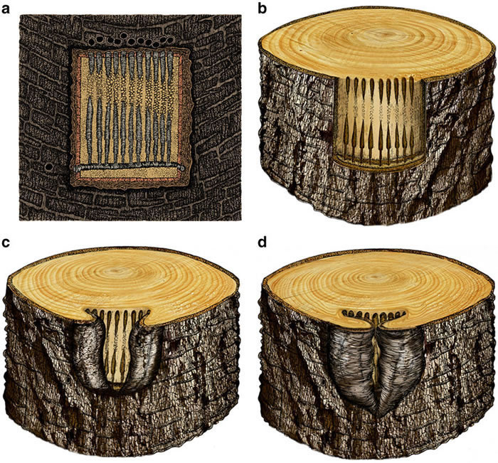 ɰֲﻯʯо2.53ǰľ׳ֹ