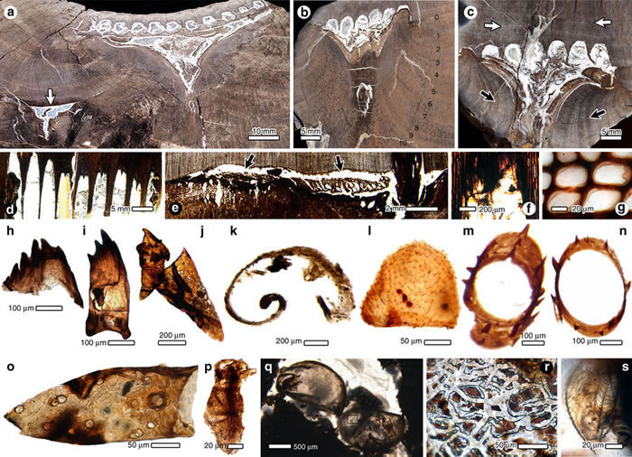 ɰֲﻯʯо2.53ǰľ׳ֹ