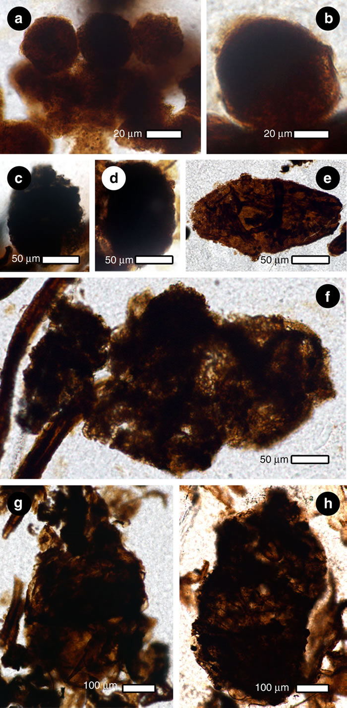 ɰֲﻯʯо2.53ǰľ׳ֹ