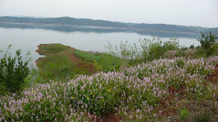 ������������߹���ʯ��ʱ��������ַ&nbsp;����ٹ�ͼ��