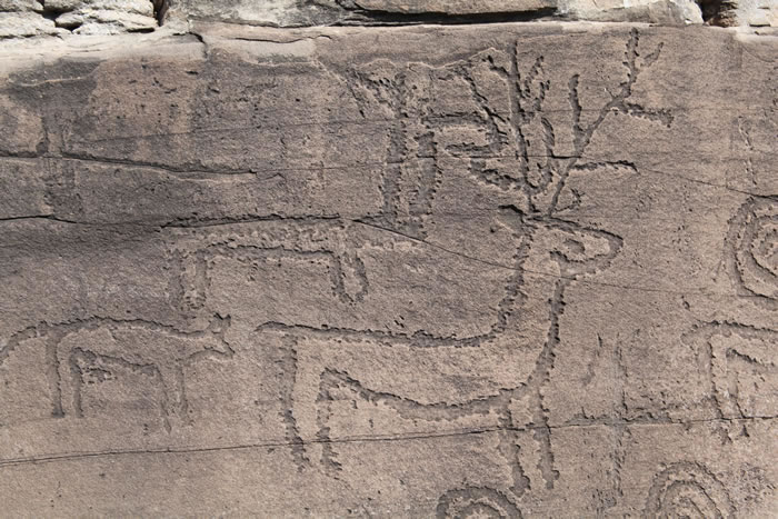 赫热勒哈亚岩画(局部)