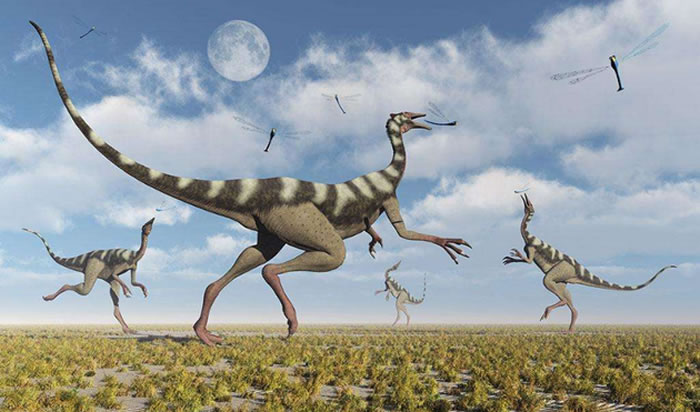 如果植物进化像现代环境继续进行,那么食草恐龙必定会主要以开花植物为食。考虑到开花植物更容易消化,或许食草恐龙的体形会逐渐缩小,那么中生代时期巨型恐龙将会消失。