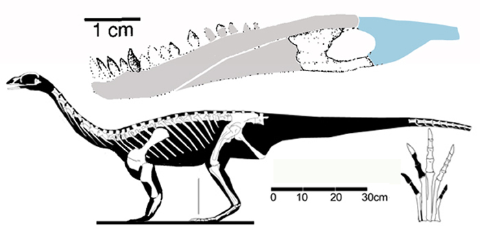 2.3����ǰ�������ض�����������ũ������������ʳ���ද��