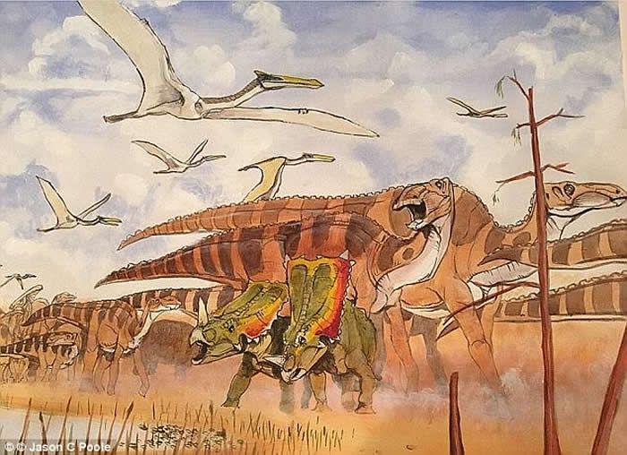 ʳ�ݿ������ܲ���ȫ���� Ҳ���С��Ϻ�ȼ׿Ǹٶ���