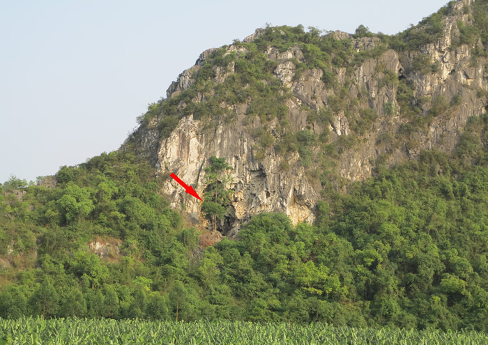 ����¡��櫻�����ַ���ŷ����16000����ǰ����ͷ�ǻ�ʯ