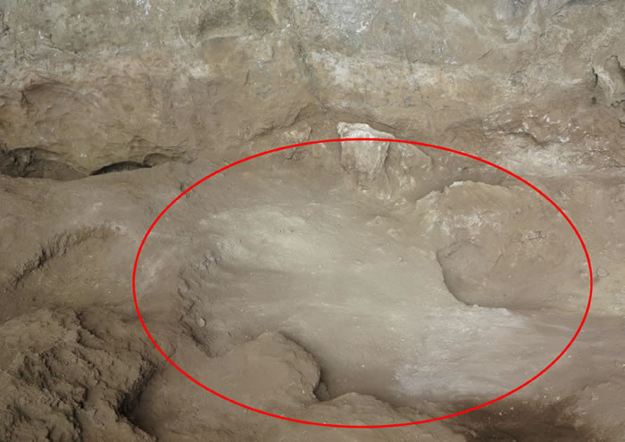 ����¡��櫻�����ַ���ŷ����16000����ǰ����ͷ�ǻ�ʯ