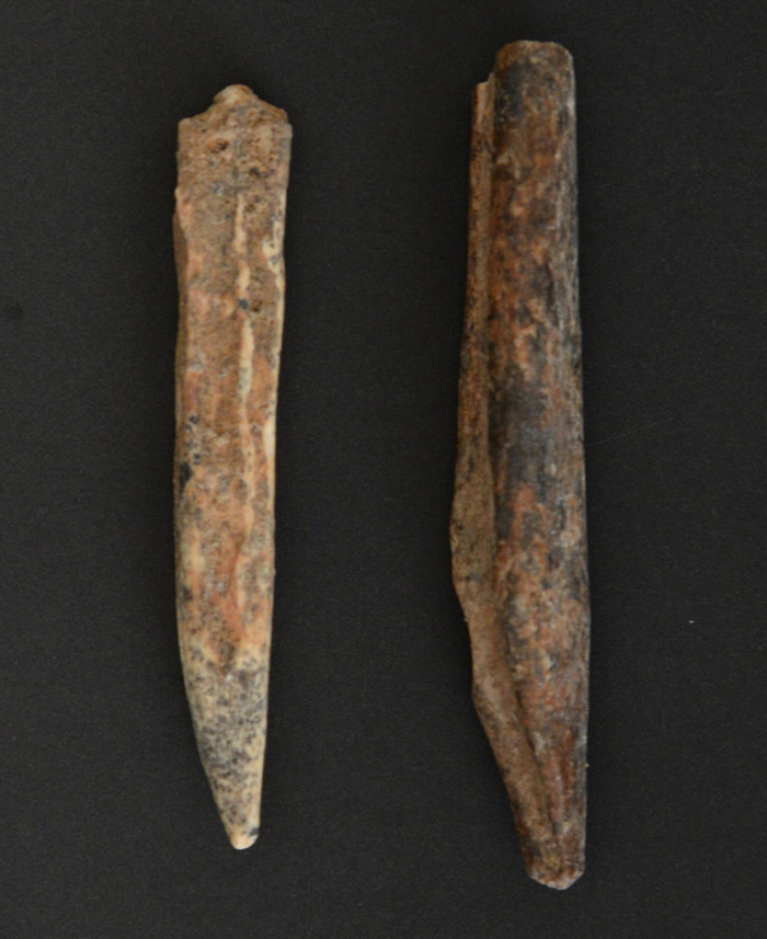 ����¡��櫻�����ַ���ŷ����16000����ǰ����ͷ�ǻ�ʯ