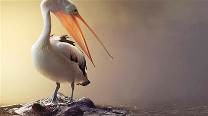 ��������ѧԺѧ��������ʱ�����˻����ǵ����������ݶ�ʧ��ֱ��ԭ��