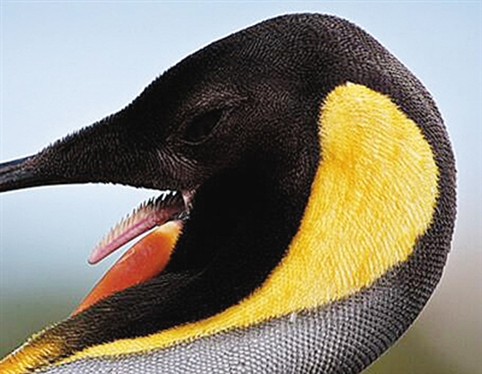 һЩ������г��к������ݵĵ���