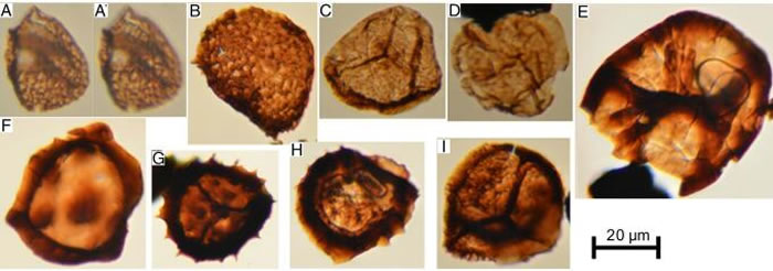 �ϻƺ���о2063-2068�׶���������һЩ��־������