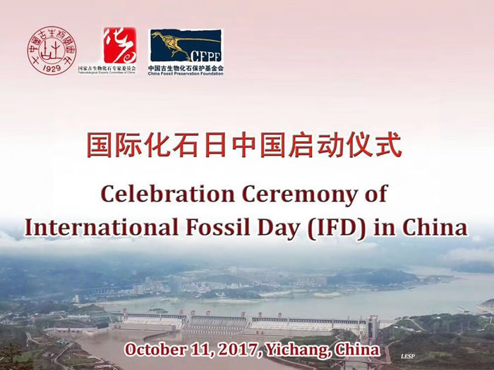 ÿ��10��11�ն�Ϊ�����ʻ�ʯ�ա� �й�����������ʽ�ں����˲�����