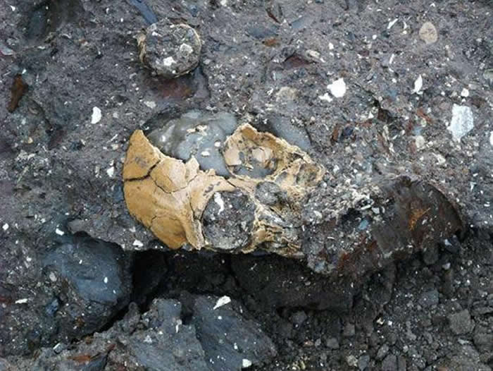 ��ͨ��Գͷ�ǳ���״̬