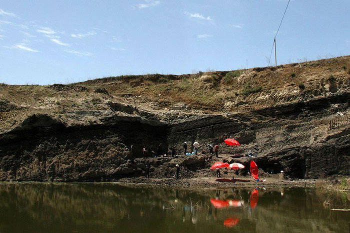 ˮ���ӻ�ʯ���ֳ�