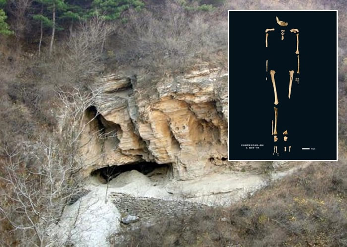 科学家在田园洞人的化石样本上，成功筛选首个中国地区古人类基因组。