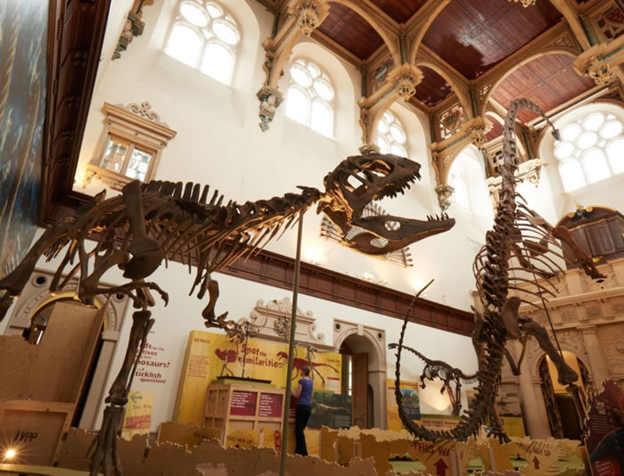 �й���Ӣ���С�����2017Ӣ��ŵ�����й�������չ