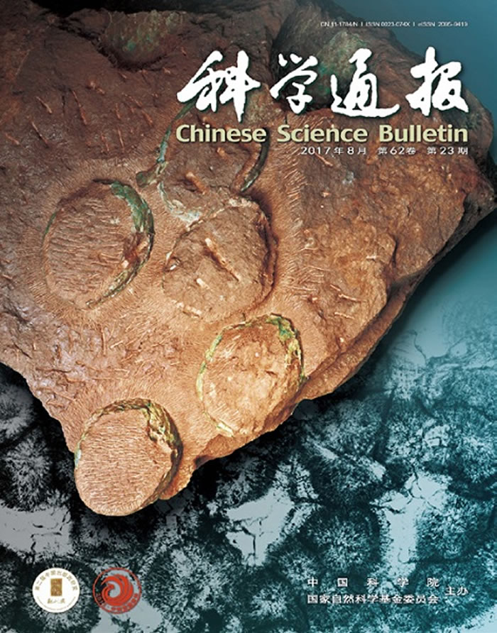 ����ɡ�ε���Ϊ����ͼƬ����