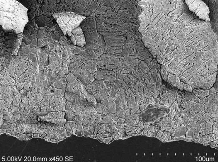 ����ɡ�ε��������ε�׵�壨ɨ�������΢���۲죩