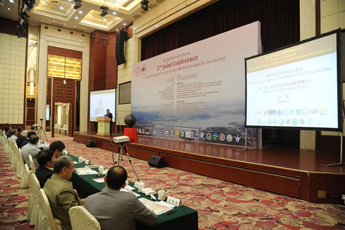 �׽조���ʻ�ʯ�ա��й�����������ʽ���˲��ٰ�