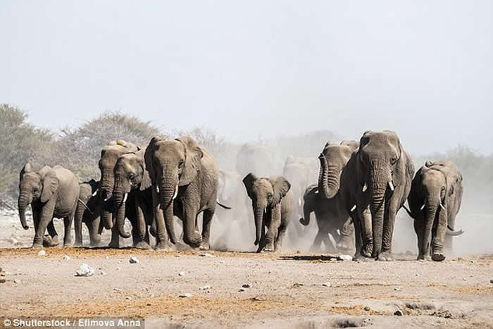 ���Ͷ������Ҫ�Բ��������ڷ��������ϣ��������������ܳ�����Ǩ�ƣ��Ӷ�ʹӪ��������Ч��ϡ�