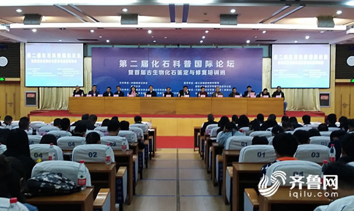 �ڶ��컯ʯ���չ�����̳���׽�����ﻯʯ�������޸���ѵ�������ʴ�ѧ