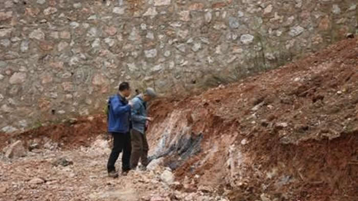 ����Ƽ�粩�������п�Ժ��ǿ��ʿ��չ����������㿼��