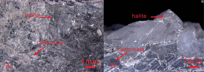 ������˹������ҹ�����-9��������ҹ�����ʯ��