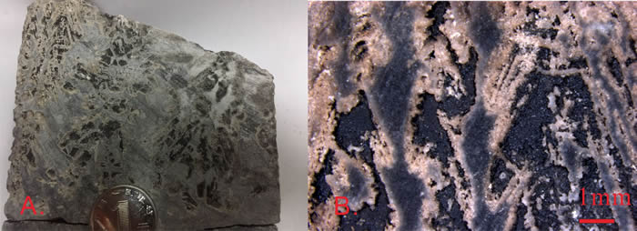 ������˹������ҹ�����-9��������ҹ�����Ӳʯ��