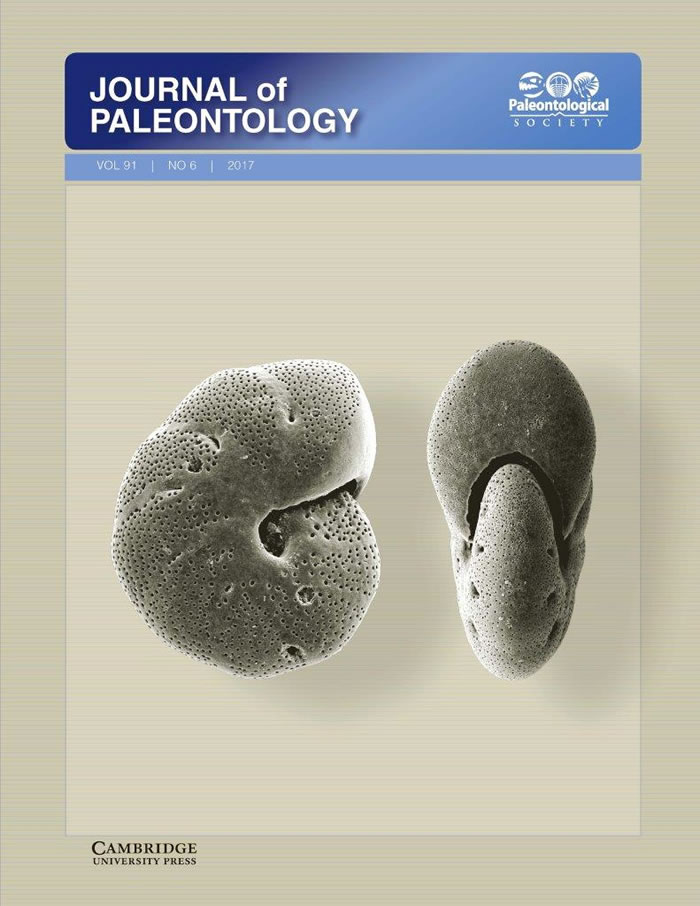 Journal of Paleontoloy 91卷第六期封面照片采用的本研究化石照片——有孔虫Melonis barleeanum,产自南通CSJA6钻孔23