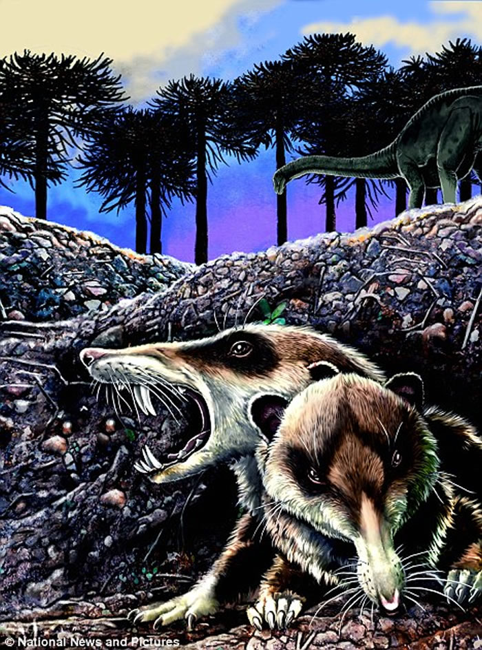 ��ҹ��ƿ�����������о���ʾ���������鶯������Ⱦ�����ҹ�� ֱ���������