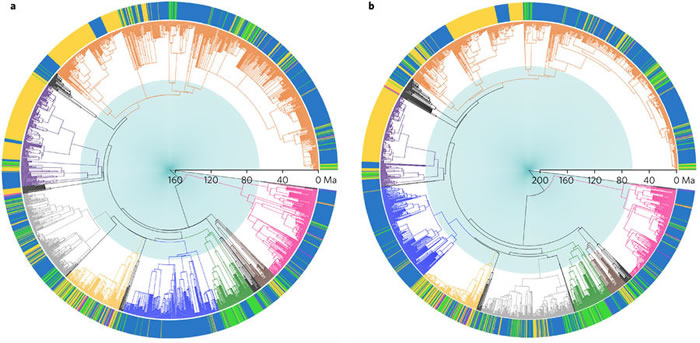 ��ҹ��ƿ�����������о���ʾ���������鶯������Ⱦ�����ҹ�� ֱ���������